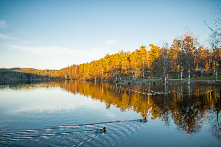 ympäristö luonto scandic olympiatoppen oslo