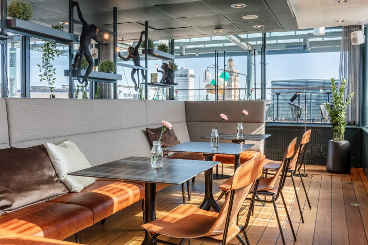 Monkey Rooftop Bar