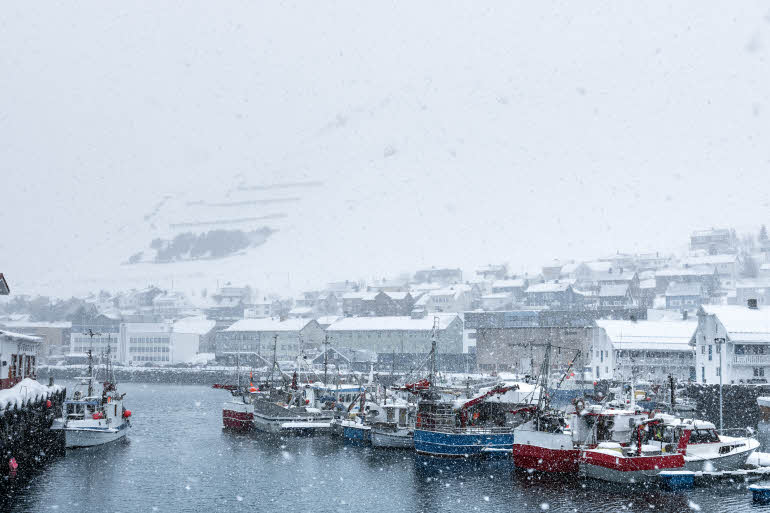 ympäristö Scandic Bryggen Honningsvåg Norja