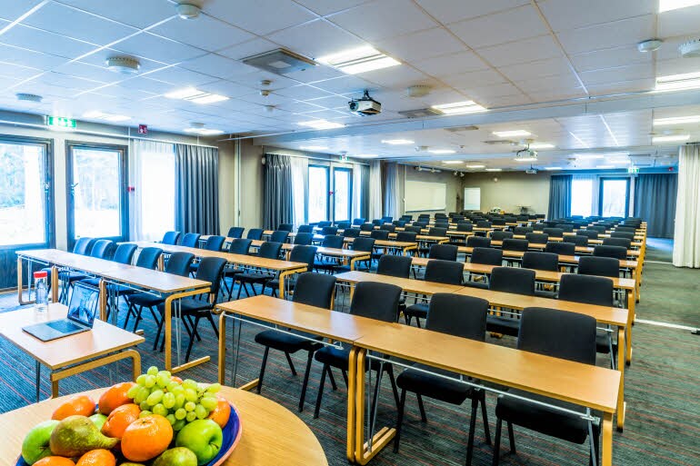 Meeting room Plenisalen Scandic Gavle Vast