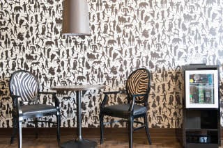 Superior Plus -huone, Spectacular-teema